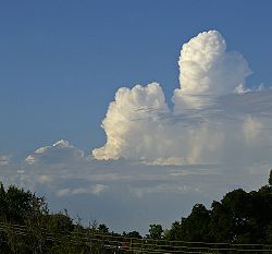 Un exemple de nuages cumulus congestus vu de la distance.