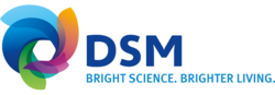 DSM logo 2011.png
