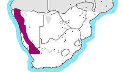 Angola, Namibie, Afrique du Sud
