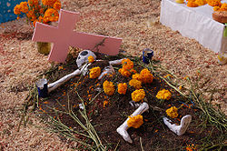  Œillet d'Inde sur une tombe dans le Zacatecas le jour des morts au Mexique