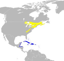 Dendroica caerulescens map2.svg