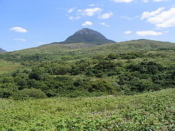 Diamond Hill vu depuis l'entrée du Parc du Connemara.
