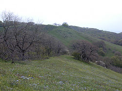 Paysage du mont Didgori au printemps