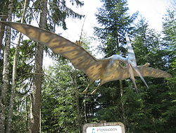  Ptéranodon (Pteranodon sp.)