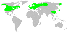 Distribution.clubiona.trivialis.1.png