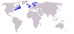 Distribution of the grey seal.png