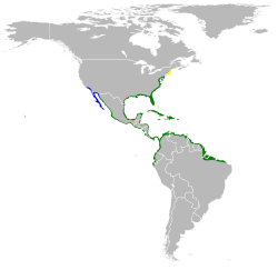 Egretta tricolor map.svg