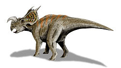  Reconstitution d'Einiosaurus procurvicornis