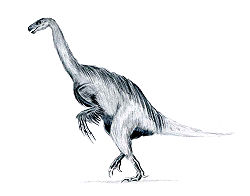  Erlikosaurus andrewsi