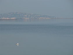 L'étang de Thau vu depuis Marseillan