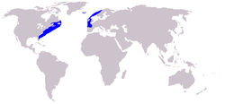 Carte de répartion de Eubalaena glacialis