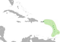 Eulampis holosericeus map.svg