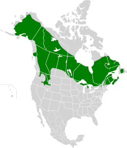 Répartition du Tétras du Canada