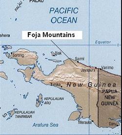 Foja Mountains.JPG