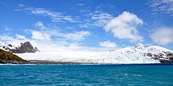 Plate-forme (iceshelf) du glacier Fortuna