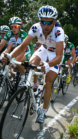 Frédéric Guesdon - Tour de Suisse 2008.jpg
