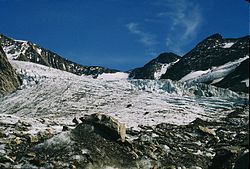Vue de la partie centrale du glacier.