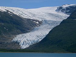 L'Engebreen du glacier Svartisen