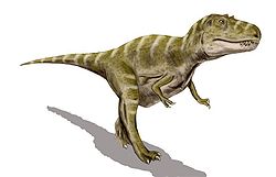  Gorgosaurus libratus (vue d'artiste)