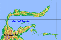 Carte du golfe de Tomini.