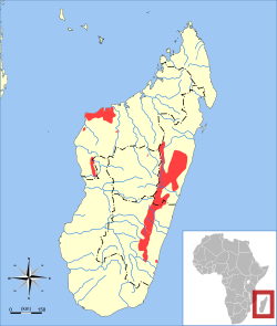 Répartition sur l'île de Madagascar