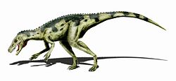  Herrerasaurus ischigualastensis