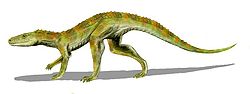 Hesperosuchusun crocodylomorphe primitif