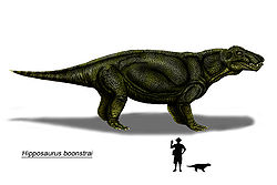  Reconstitution d'Hipposaurus boonstrai