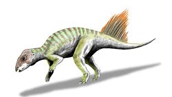  Hongshanosaurus (vue d'artiste)