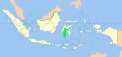 Carte de l'Indonésie mettant en évidence la province de Sulawesi du Sud (en vert clair)