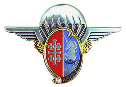 Insigne régimentaire du 1er régiment de hussards parachutistes.jpg