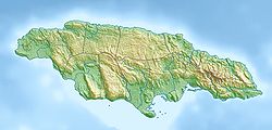Jamaica relief location map.jpg