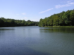 Les étangs de La Minière à Guyancourt.jpg