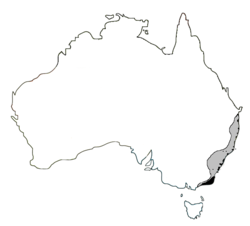 Litoria aurea range in Australia.PNG