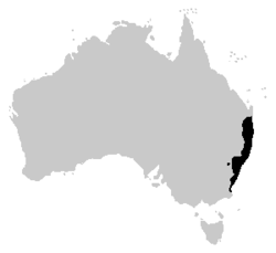 Litoria dentata range.PNG