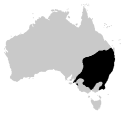 Litoria peronii distribution.PNG