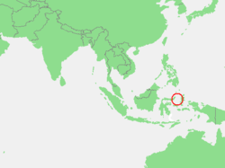 Carte de la mer des Moluques.