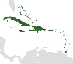 Carte des Antilles (en vert) dans la Caraïbe.
