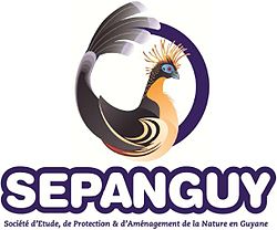 Logo SEPANGUY.JPG