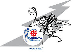 Logo du MHSA