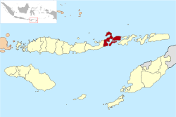 Situation de Flores Timur dans les petites îles de la Sonde orientales.