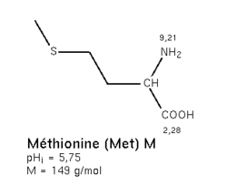 Méthionine.png