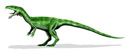  Masiakasaurus knopferi