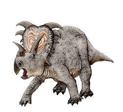  Reconstitution de Medusaceratops lokii
