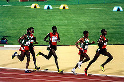 Mens 10000m final sydney olympics 2000.jpg