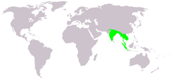 Metopidius indicus map.png
