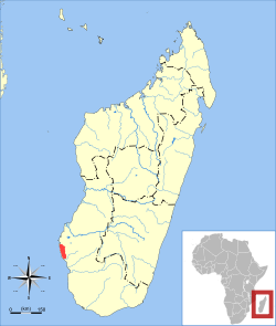 Répartition de Microgale jenkinsae