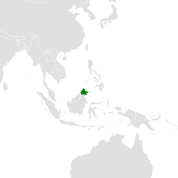 Carte de répartition du fauconnet de Bornéo