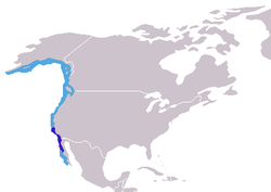 Répartition géographique de Mirounga angustirostris