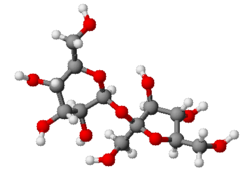 Molecule de saccharose.png